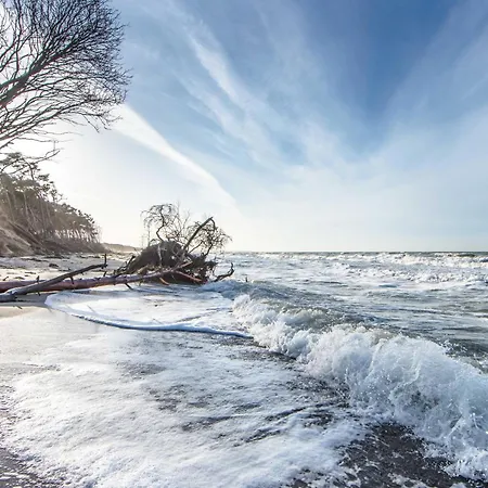Sturmmoewe - Direkt An Der Ostsee Gelegen